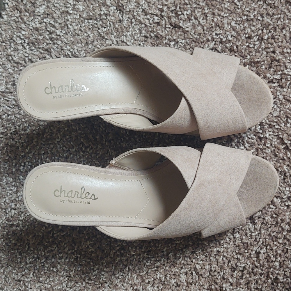 Charles Wedges - Picture 2 of 5